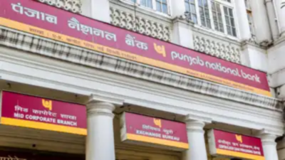 PNB targets 58% of loan book from RAM segment in FY26 to offset rate-linked margin pressure 121117851.jpg