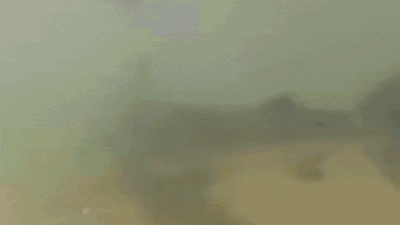 121229746.jpg