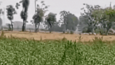 1746786945 unnamed file.jpg