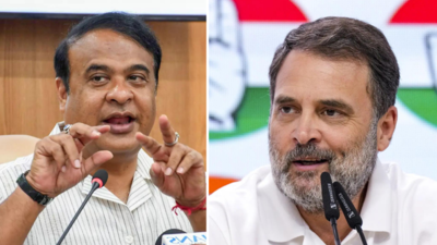 ‘Not Gabbar Singh Tax but God-Sent Tax’: Assam CM Himanta Sarma hails taxpayers for Operation Sindoor success, takes jab at Congress | India News 1746800884 unnamed file.jpg