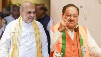 Amit Shah, JP Nadda hail big BJP win in Assam panchayat polls 1747170964 article 9.jpg