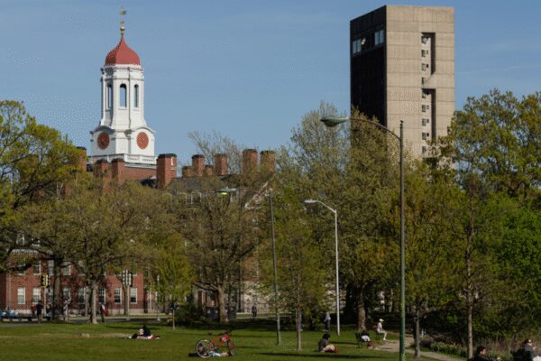 1747990323 photo.jpg