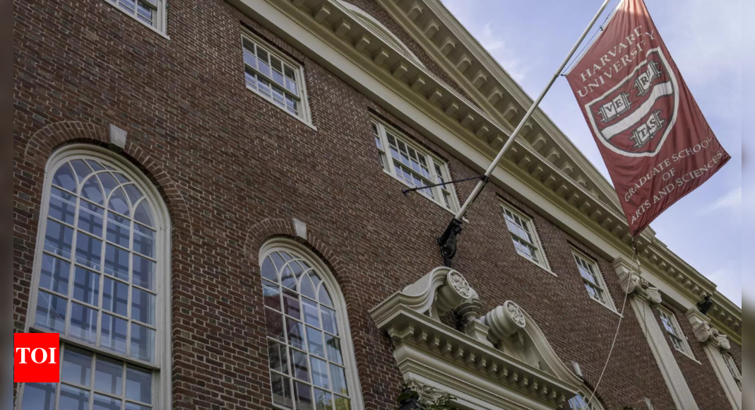 1748535587 photo.jpg