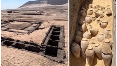 5000 year old sealed wine jars discovered in egypt to reveal science of ancient wine making.jpg