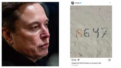 Elon musk responds to james comeys 8647 post targeting donald trump.jpg