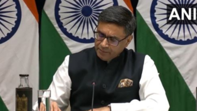 Foreign secretary vikram misri.jpg