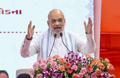 Gandhinagar union home minister amit shah addresses the gathering during the in .jpg