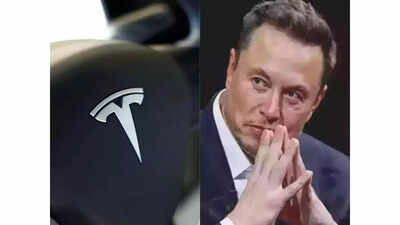 Longtime tesla bull ross gerber dumps his tesla stock predicting total collapse and exit of ceo elon.jpeg