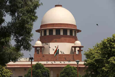 Sc appoints third arbitrator in vedantas dispute with sepco.jpg