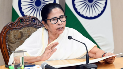 West bengal chief minister mamata banerjee.jpg