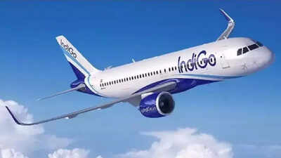 Indigo.jpg