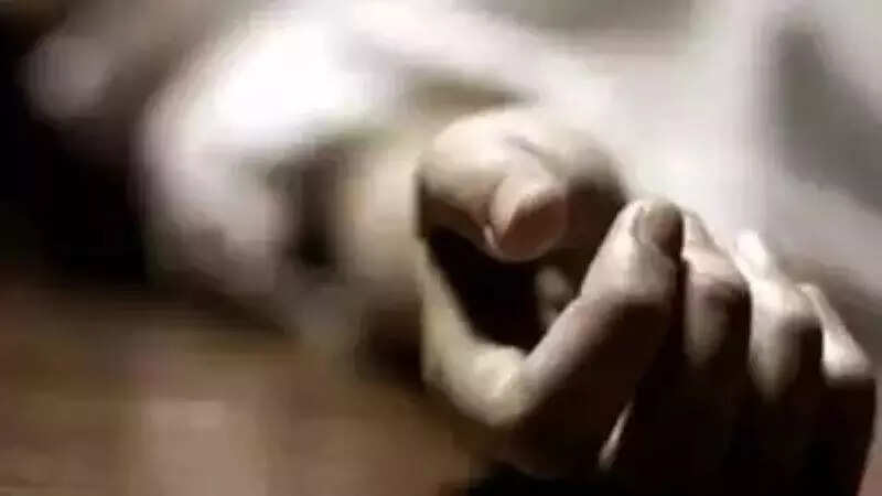 Msid 121120710imgsize 8816.cms .jpeg