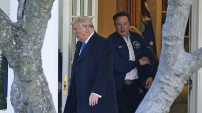 Trump, Musk, and the Big Beautiful Breakup 121679389.jpg