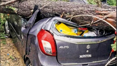 HP landslides, flash floods block highways and heritage tracks | India News 122149717.jpg