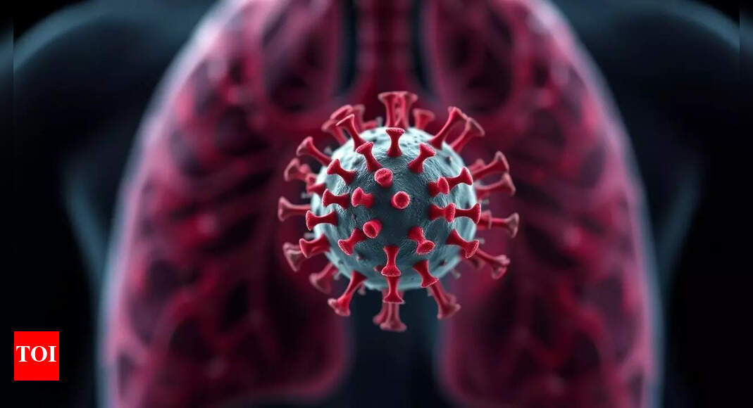 1748939788 photo.jpg