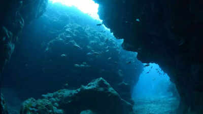Unique rare earth elements unveiled on an underwater island heres what it means for the future.jpg