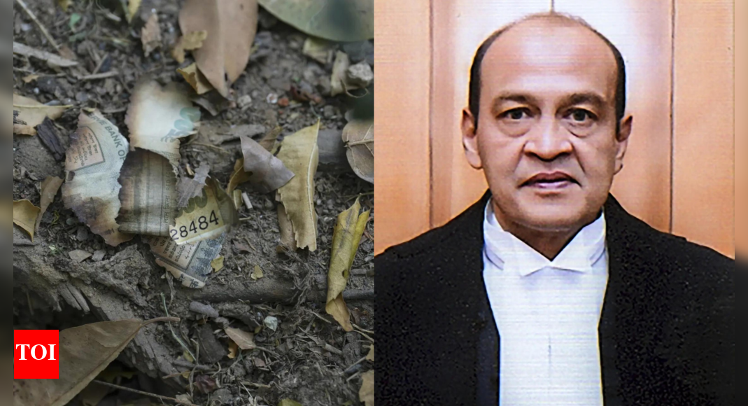 1753252163 photo.jpg