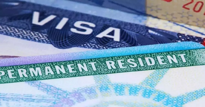 Us green card backlog.jpg
