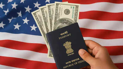 Vs visa fee hike.jpg