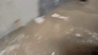 123055877.jpg
