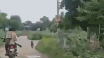 123155018.jpg