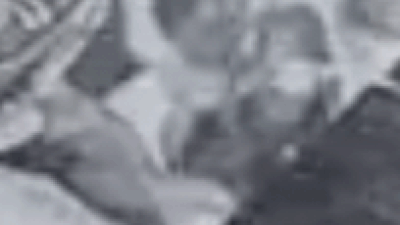 123180363.jpg