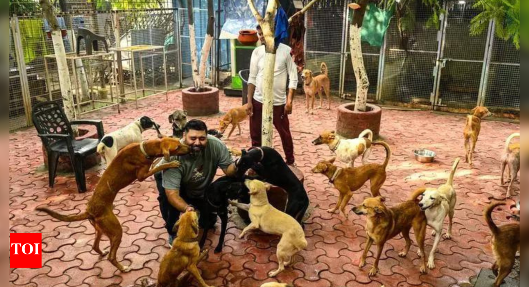 1755073633 photo.jpg