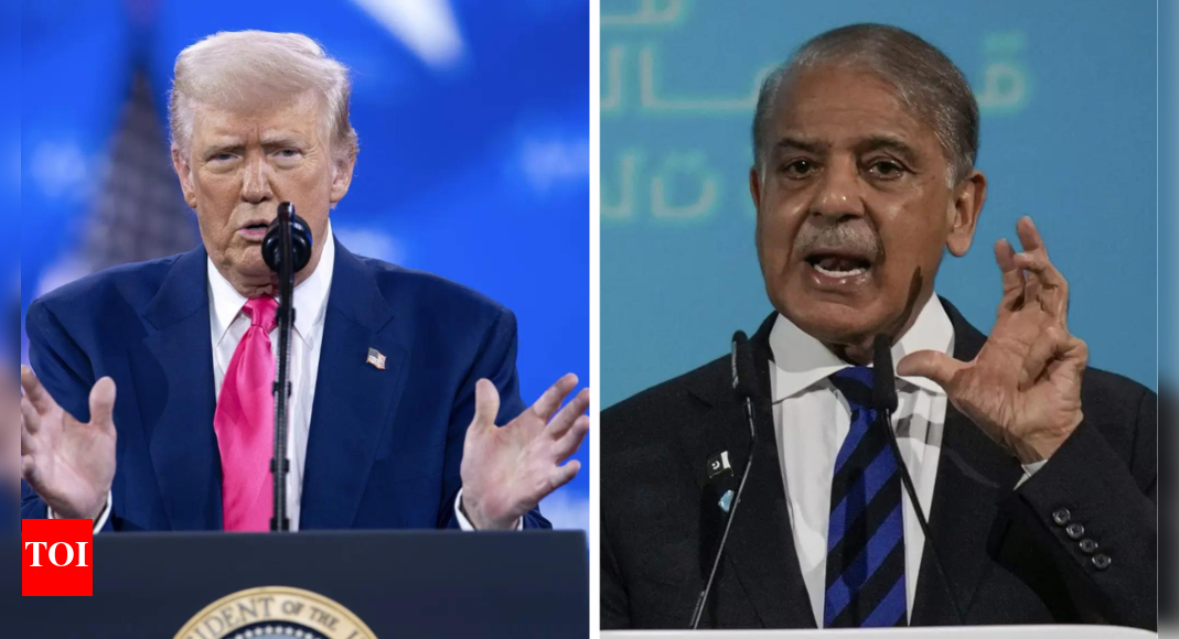 1755110373 photo.jpg