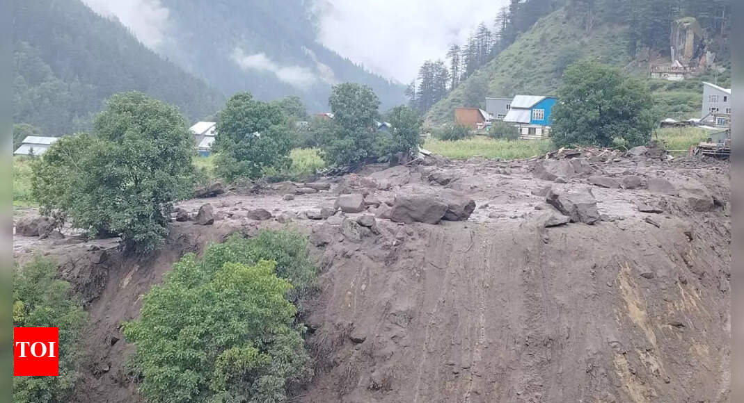 1755276193 photo.jpg