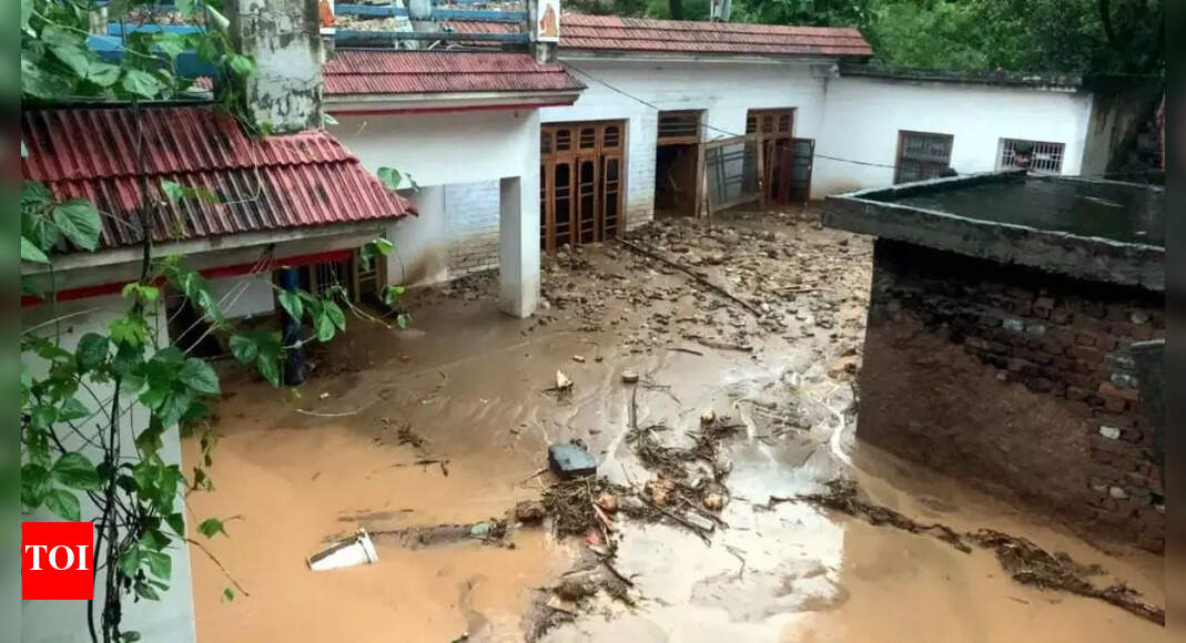 1755422144 photo.jpg