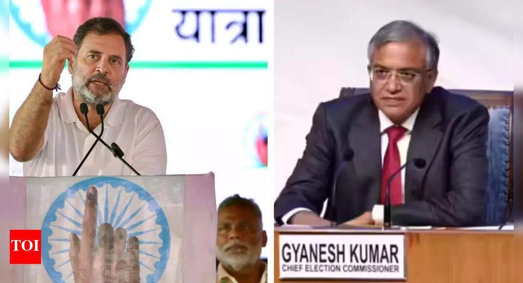 1755447855 photo.jpg