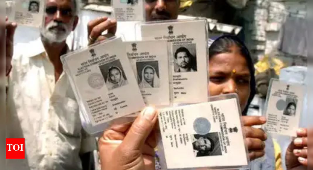 1755700833 photo.jpg