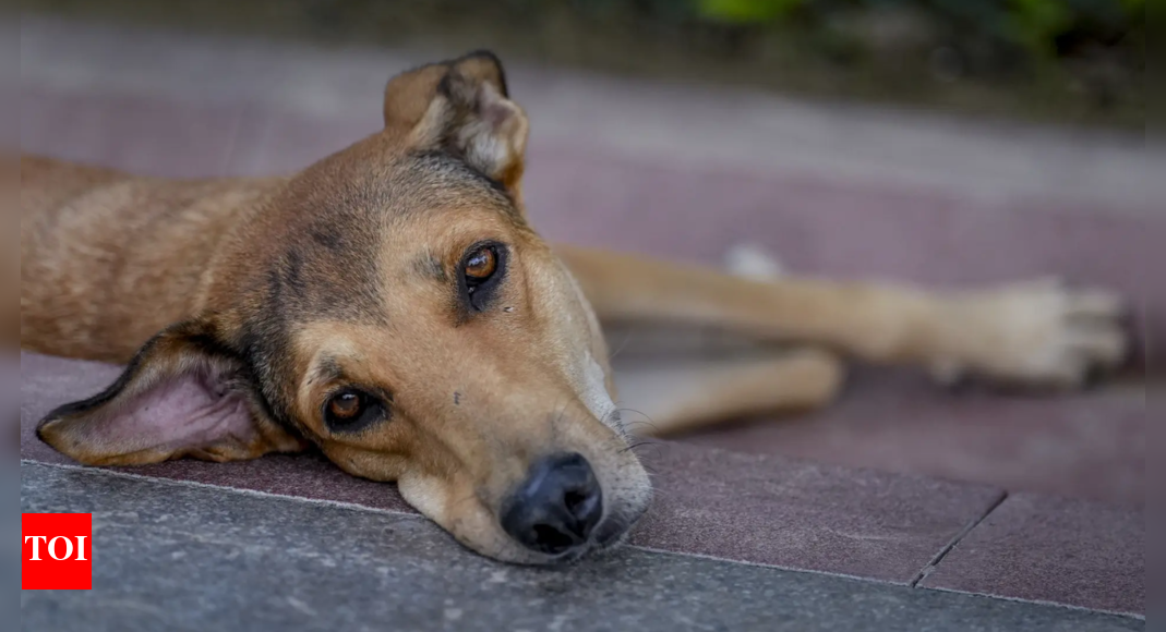 1755841581 photo.jpg