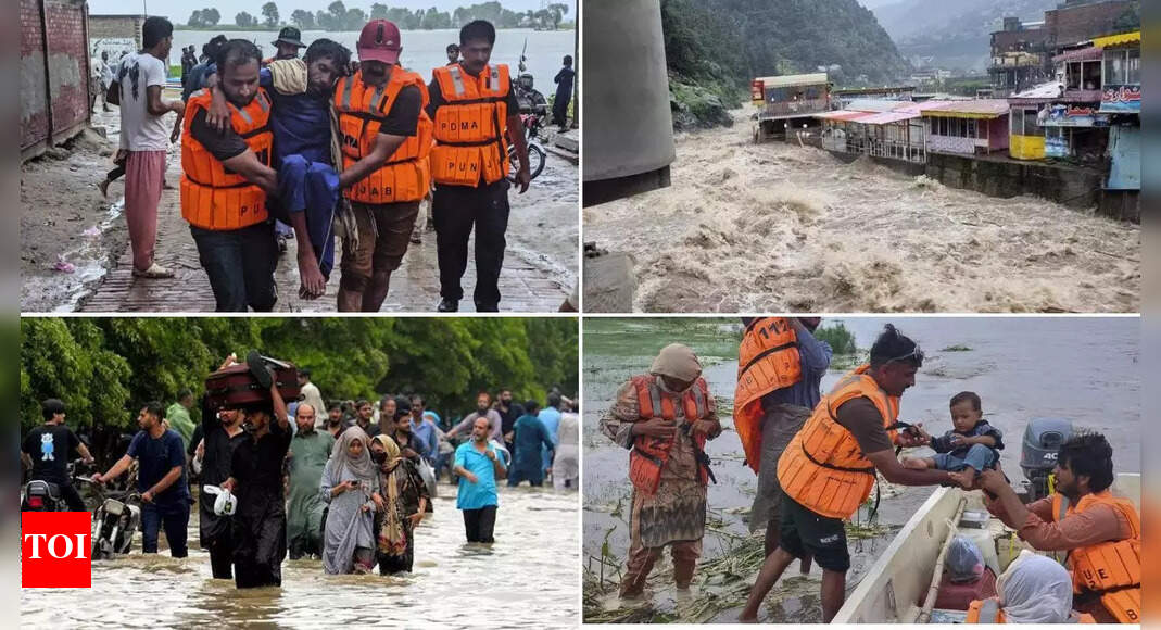 1756280014 photo.jpg