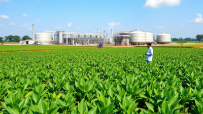 1756642953 unnamed file.jpg