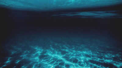 Life found 31000 feet below the ocean a hidden world of deep sea creatures thrives without sunlight.jpeg