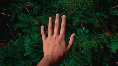 Why humans cant digest grass understanding the biological limitations.jpg