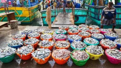 India’s shrimp exports set to fall 15-18% amid Trump tariff hike; $5 billion trade at risk: Crisil