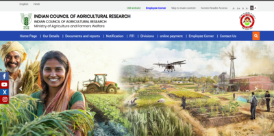 Icar counselling 2025.jpg