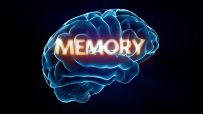 Memory.jpg