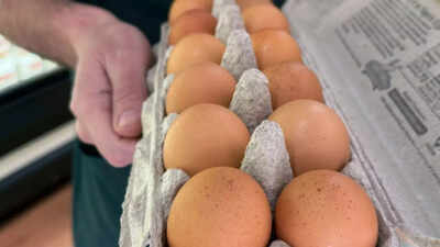 Salmonella outbreak linked to eggs infecting 95 people across 23 us states cdc issues nationwide war.jpeg
