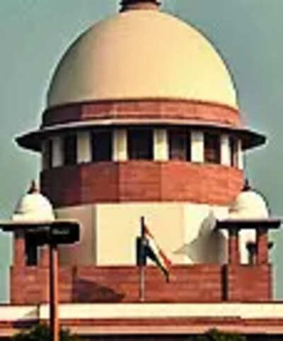 Tn guv just figurehead sc asks if bills can be delayed indefinitely.jpg