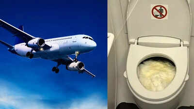 Toilet crisis at 30000 feet passengers forced to use bottles on a virgin australia flight after lava.jpeg