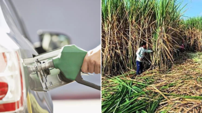 1756855534 unnamed file.jpg