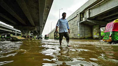 1756875401 unnamed file.jpg