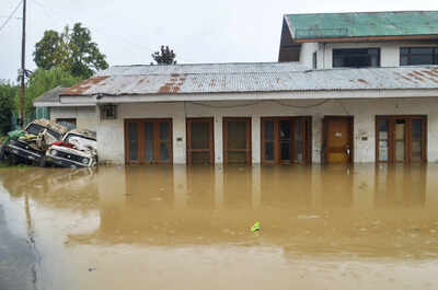 1756898445 unnamed file.jpg