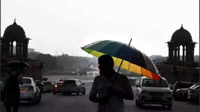 1757028341 file image.jpg