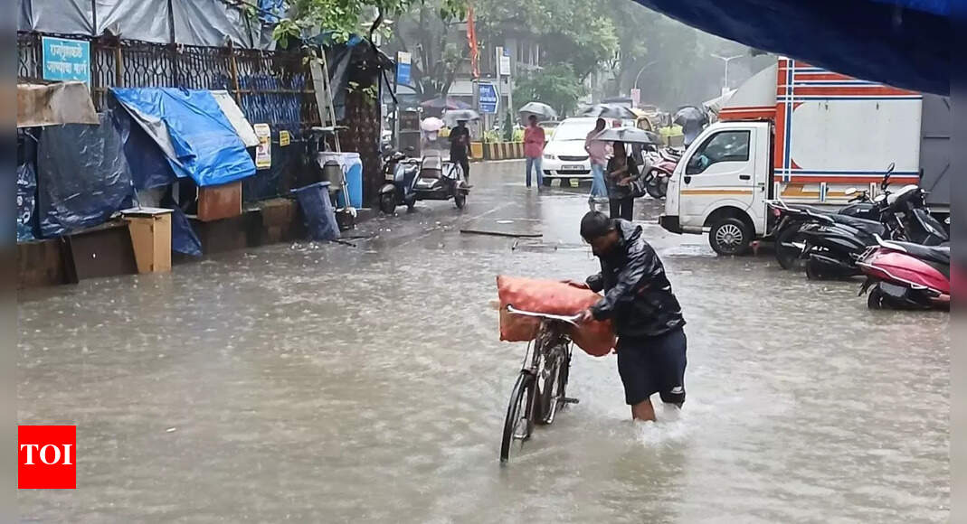 1757909312 photo.jpg