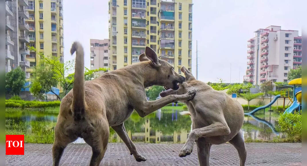 1758087389 photo.jpg