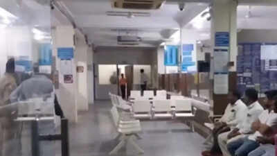 1758092684 unnamed file.jpg